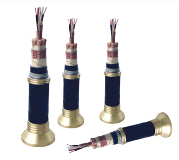 DJYPVPR係(xi)列計(ji)算(suan)機(ji)電(dian)纜